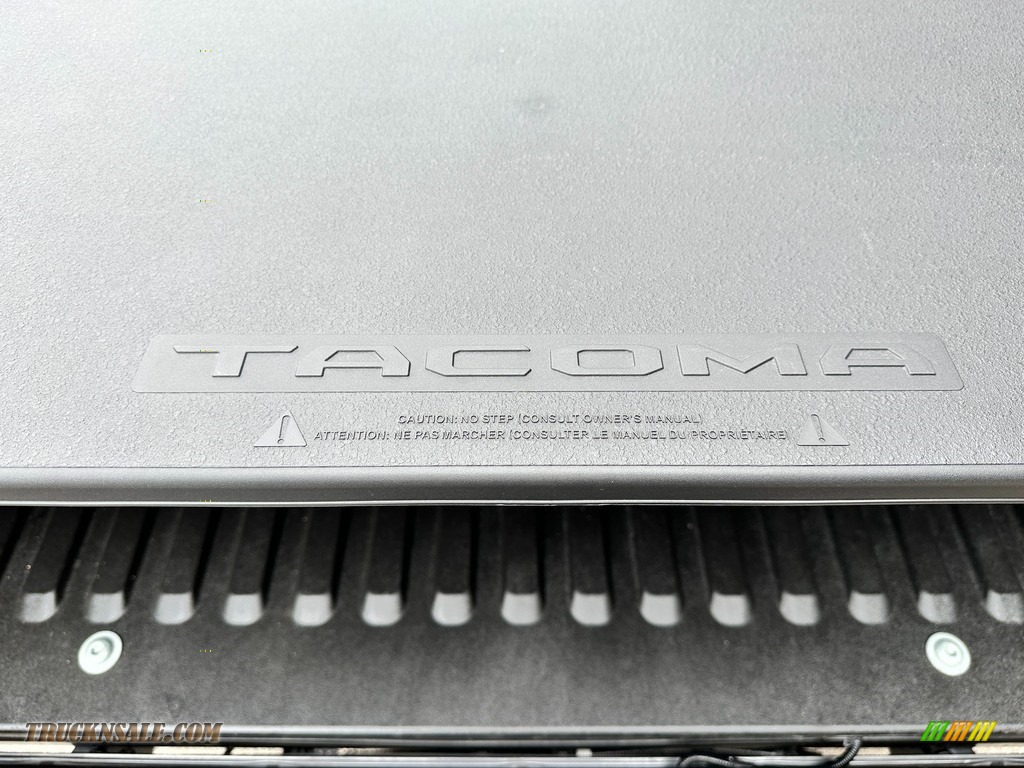 2022 Tacoma SR Access Cab - Magnetic Gray Metallic / Cement Gray photo #36
