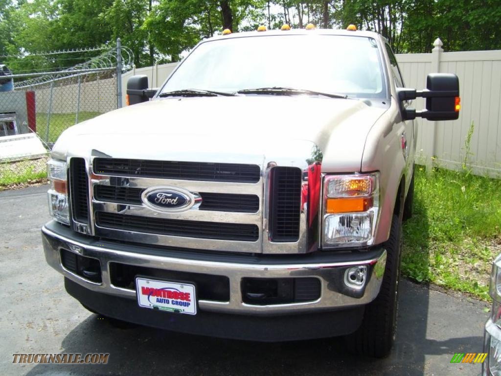 2010 Ford F350 Super Duty XLT Regular Cab 4x4 in Pueblo Gold Metallic