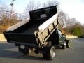 Ford F550 Super Duty XL Regular Cab 4x4 Dump Truck Woodland Green Metallic photo #10