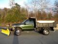 Ford F550 Super Duty XL Regular Cab 4x4 Dump Truck Woodland Green Metallic photo #18