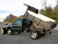 Ford F550 Super Duty XL Regular Cab 4x4 Dump Truck Woodland Green Metallic photo #27