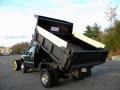 Ford F550 Super Duty XL Regular Cab 4x4 Dump Truck Woodland Green Metallic photo #29