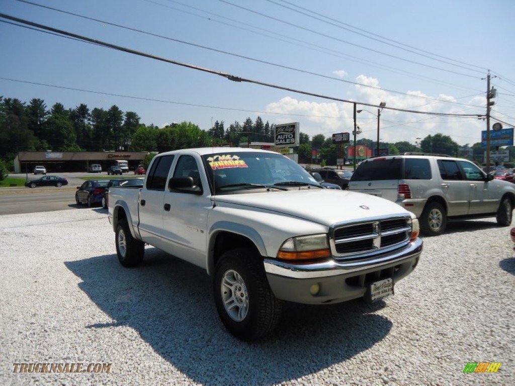 Dodge Dakota Quad  on 2001 Dodge Dakota Slt Quad Cab 4x4 In Bright White For Sale   308912