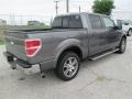 Ford F150 Lariat SuperCrew Sterling Grey photo #5
