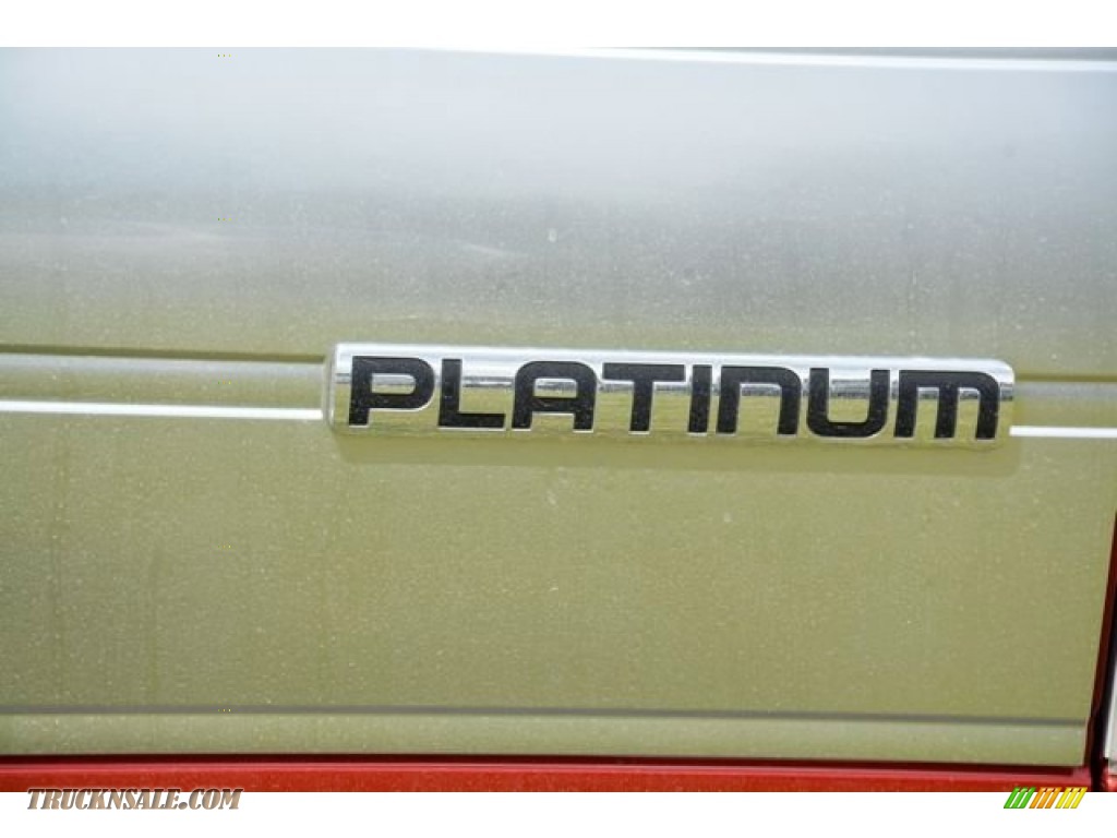 2013 F150 Platinum SuperCrew 4x4 - Ruby Red Metallic / Platinum Unique Pecan Leather photo #8