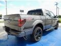 Ford F150 FX4 SuperCrew 4x4 Sterling Grey photo #3