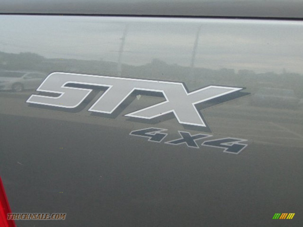 2005 F150 STX Regular Cab 4x4 - Dark Shadow Grey Metallic / Medium Flint Grey photo #3