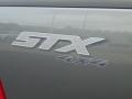 Ford F150 STX Regular Cab 4x4 Dark Shadow Grey Metallic photo #3