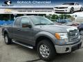 Ford F150 XLT SuperCab 4x4 Sterling Gray Metallic photo #1