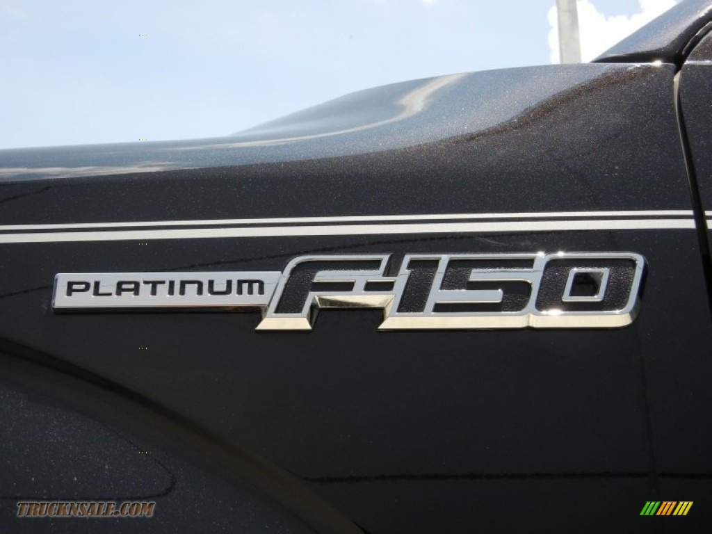 2010 F150 Platinum SuperCrew 4x4 - Tuxedo Black / Sienna Brown Leather/Black photo #9