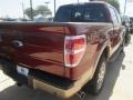Ford F150 King Ranch SuperCrew 4x4 Sunset photo #8