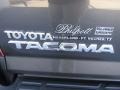 Toyota Tacoma Access Cab Magnetic Gray Mica photo #13