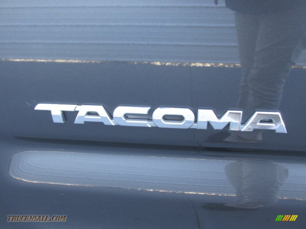 2012 Tacoma Access Cab - Magnetic Gray Mica / Graphite photo #14