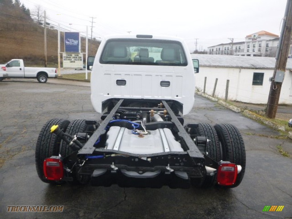 2015 F350 Super Duty XL Regular Cab 4x4 Chassis - Oxford White / Steel photo #4